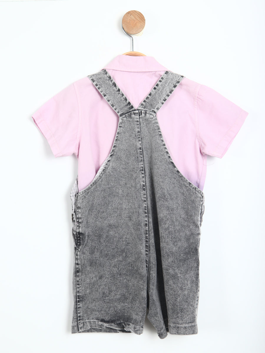 SET0320 ES00365