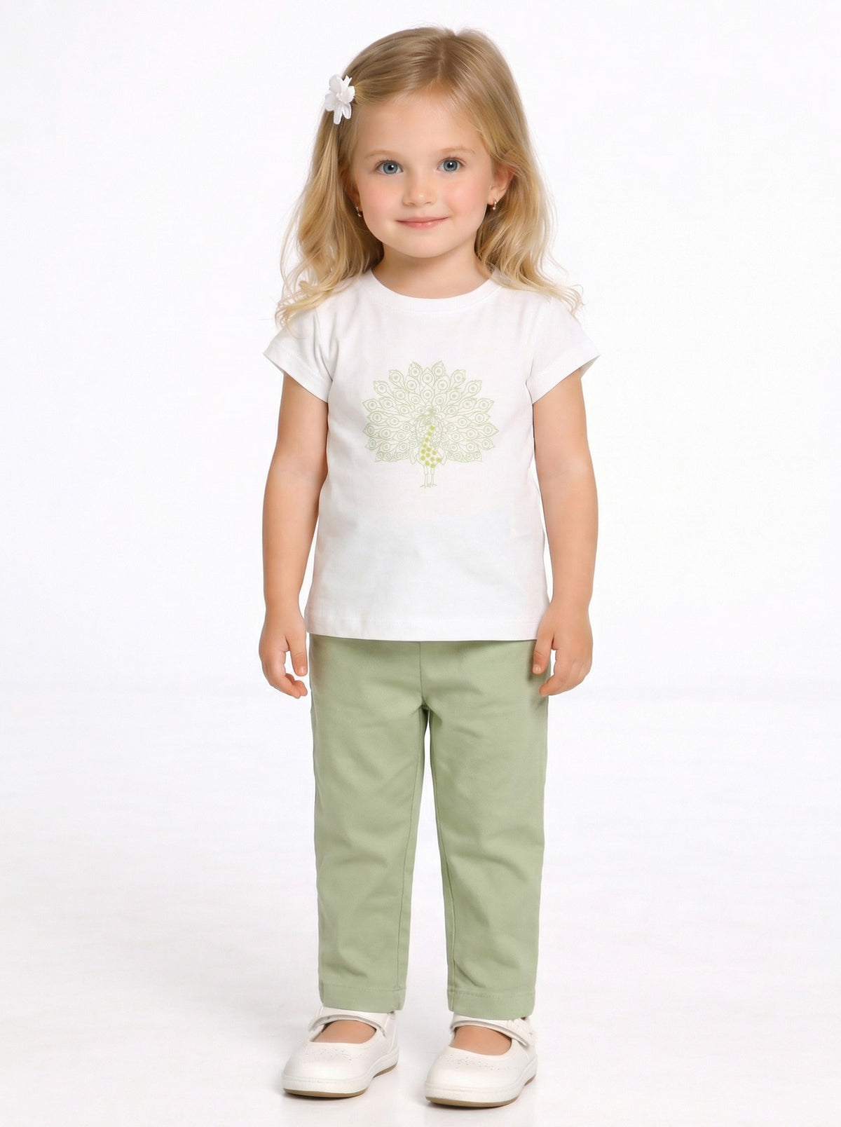 SET0519 KS01676