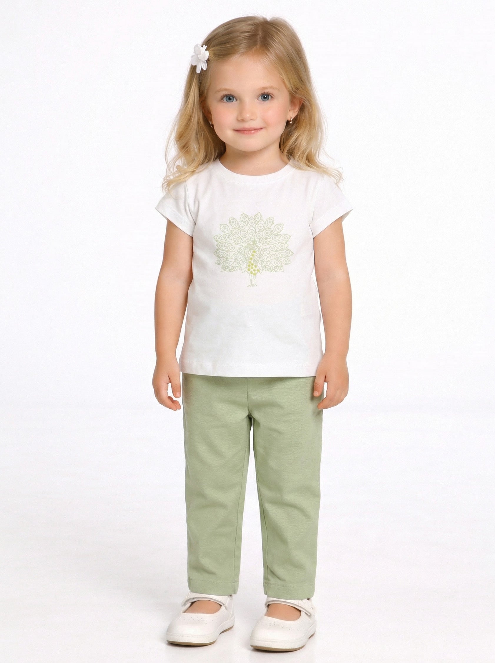 SET0519 KS01676