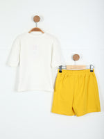 SET0293 KS00619