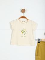 SET0254 KS00523