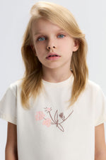 SET0534 KS01759