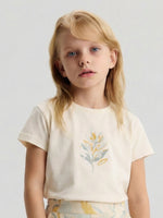 SET0507 KS01620