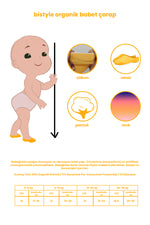 Bistyle 6'Lı Mix Babet Çorap 30101 Lila