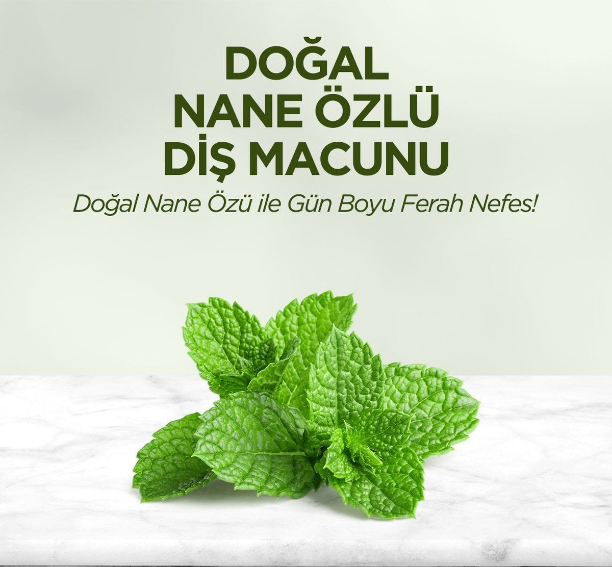 Eyüp Sabri Tuncer Doğal Diş Macunu 90 Gr Nane Özlü