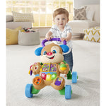 Fisher Price Eğitici Köpekçik Yürüteç (Türkçe) FTG10